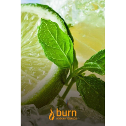 Табак Burn Lemon Mint 100 грамм