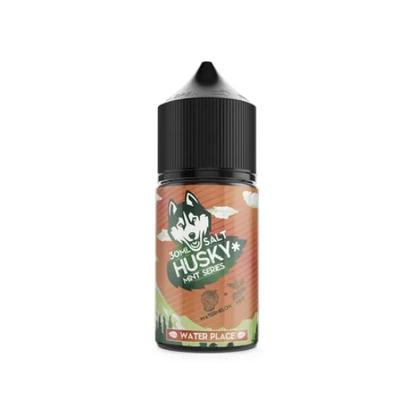 Жидкость Husky salt Mint series Water Place (Арбуз холодок) (30 мл, 20 мг/мл) в Иркутске