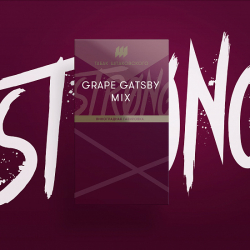 Табак Шпаковского Strong Grape Gatsby Mix (Виноградная Газировка) 40 гр