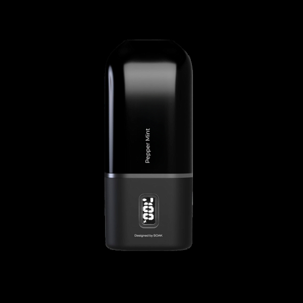 Электронка Soak 13 Pepper Mint Перечная Мята 13000 затяжек в Иркутске
